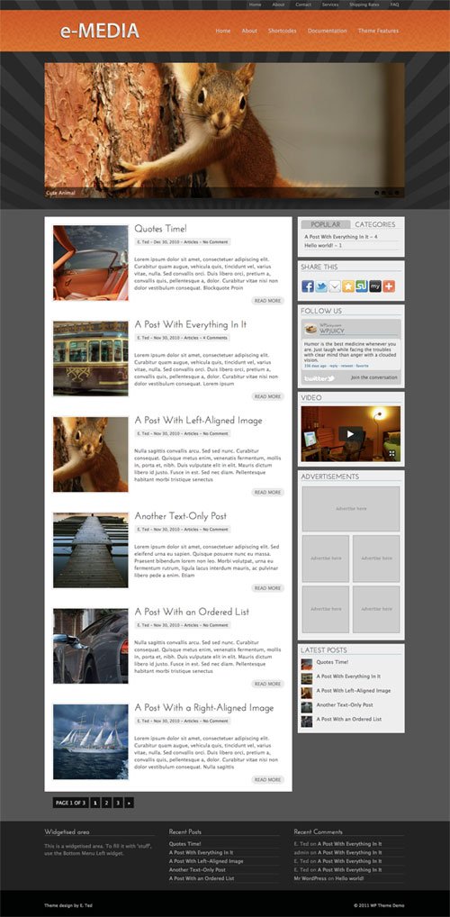 e-Media wordpress theme