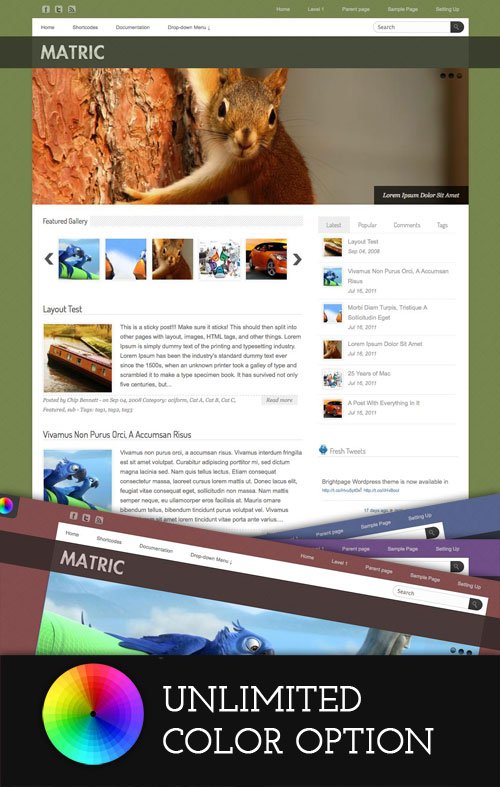 Matric wordpress theme