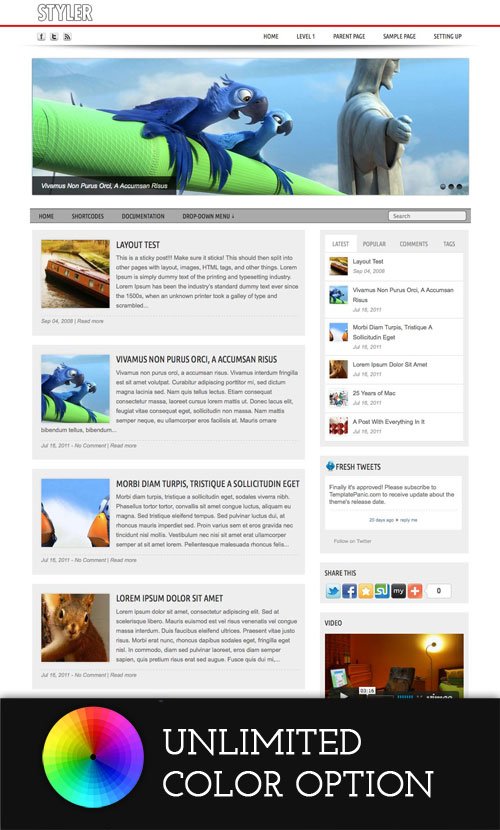 Styler wordpress theme