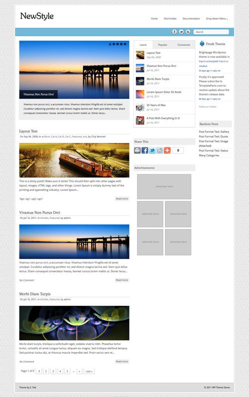 NewStyle wordpress theme